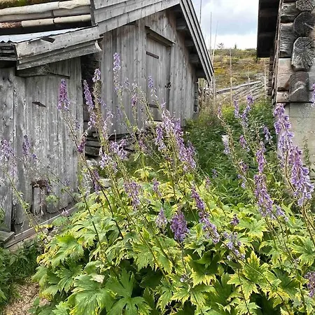 Feriehus Idyllisk Hytte På Seter On Mountain Farm Forset